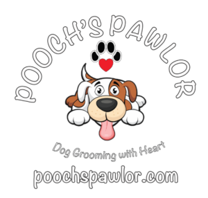 Pooch's Pawlor